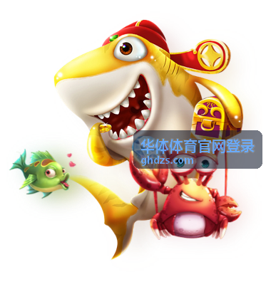 华体体育官网登录 入口核对缩略图
